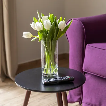 Affittacamere Colosseo Road By Hili Roma